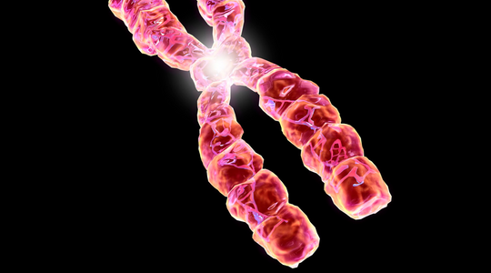 The Telomere Truth: Why Bakuchiol Might Be Your Skin's Smarter Anti-Aging Choice